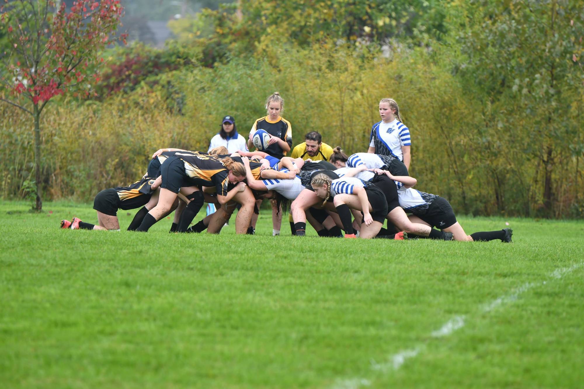 Scrum Down